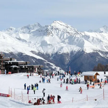 Arzinol 305 By Interhome